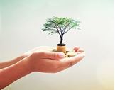Picture of Charitable Contributions